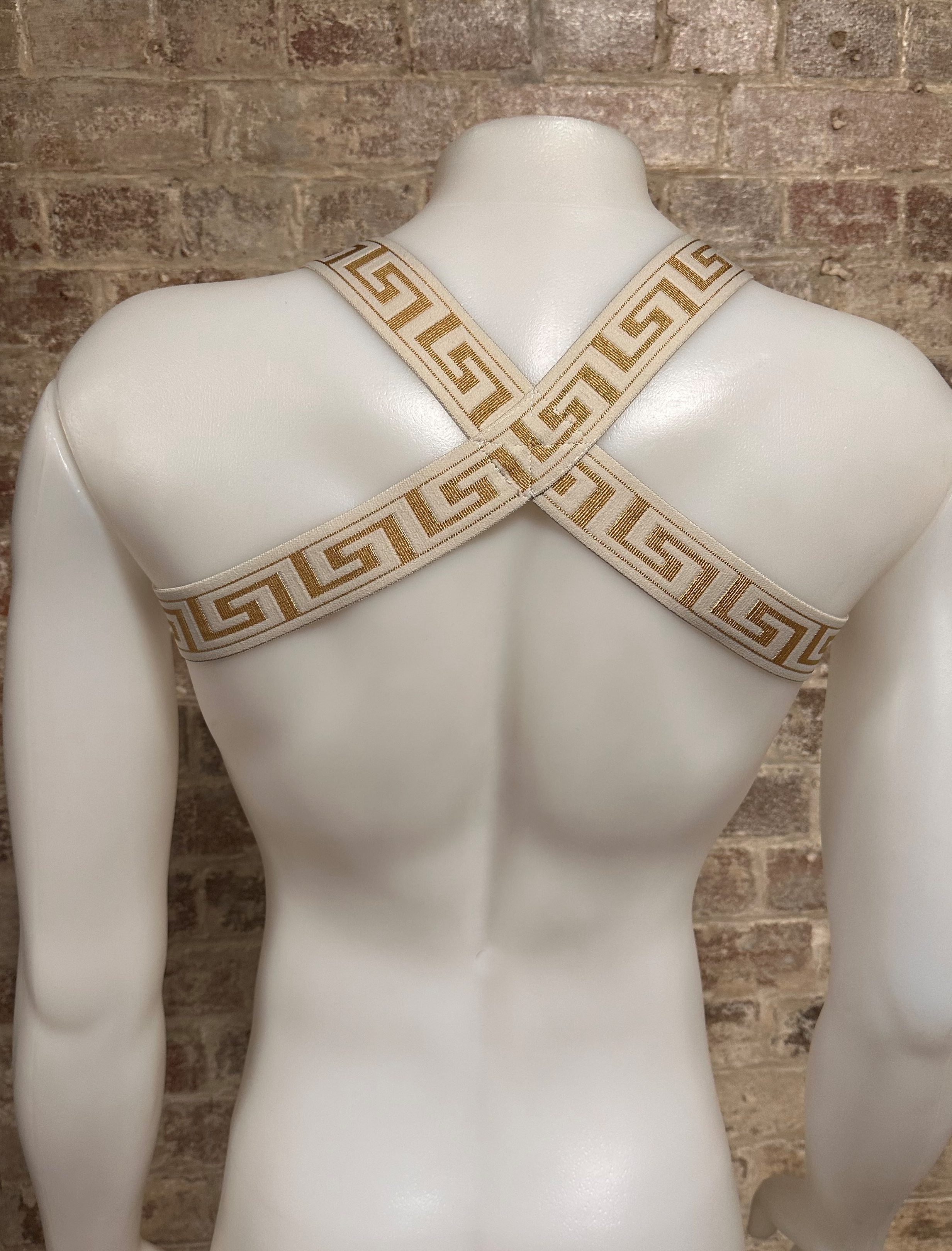 Daly Male Meander Body Harness
