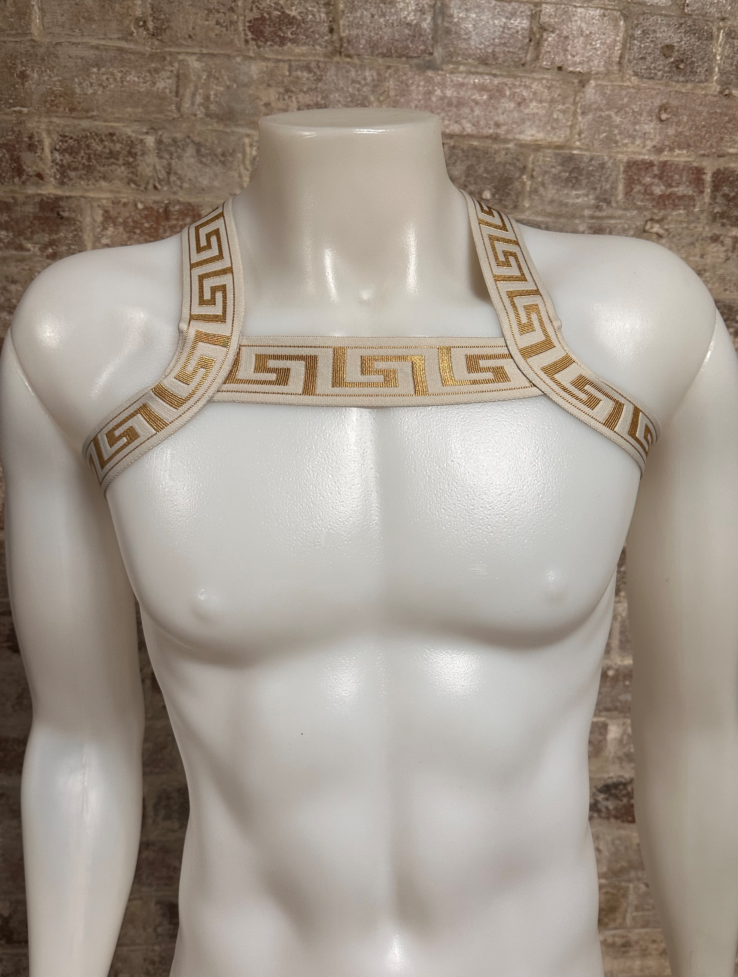 Daly Male Meander Body Harness