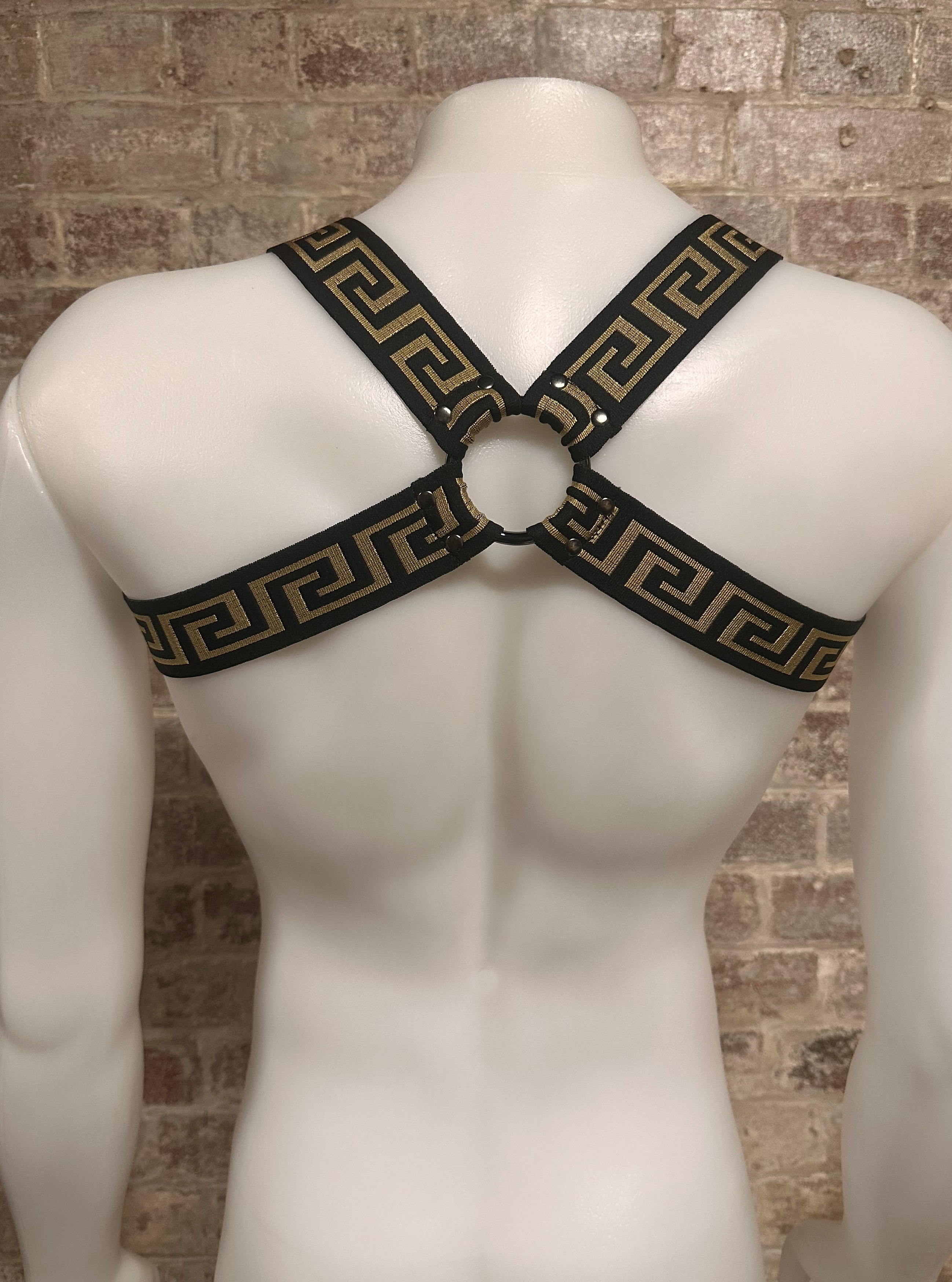 Daly Male Meander Body Harness with Rings