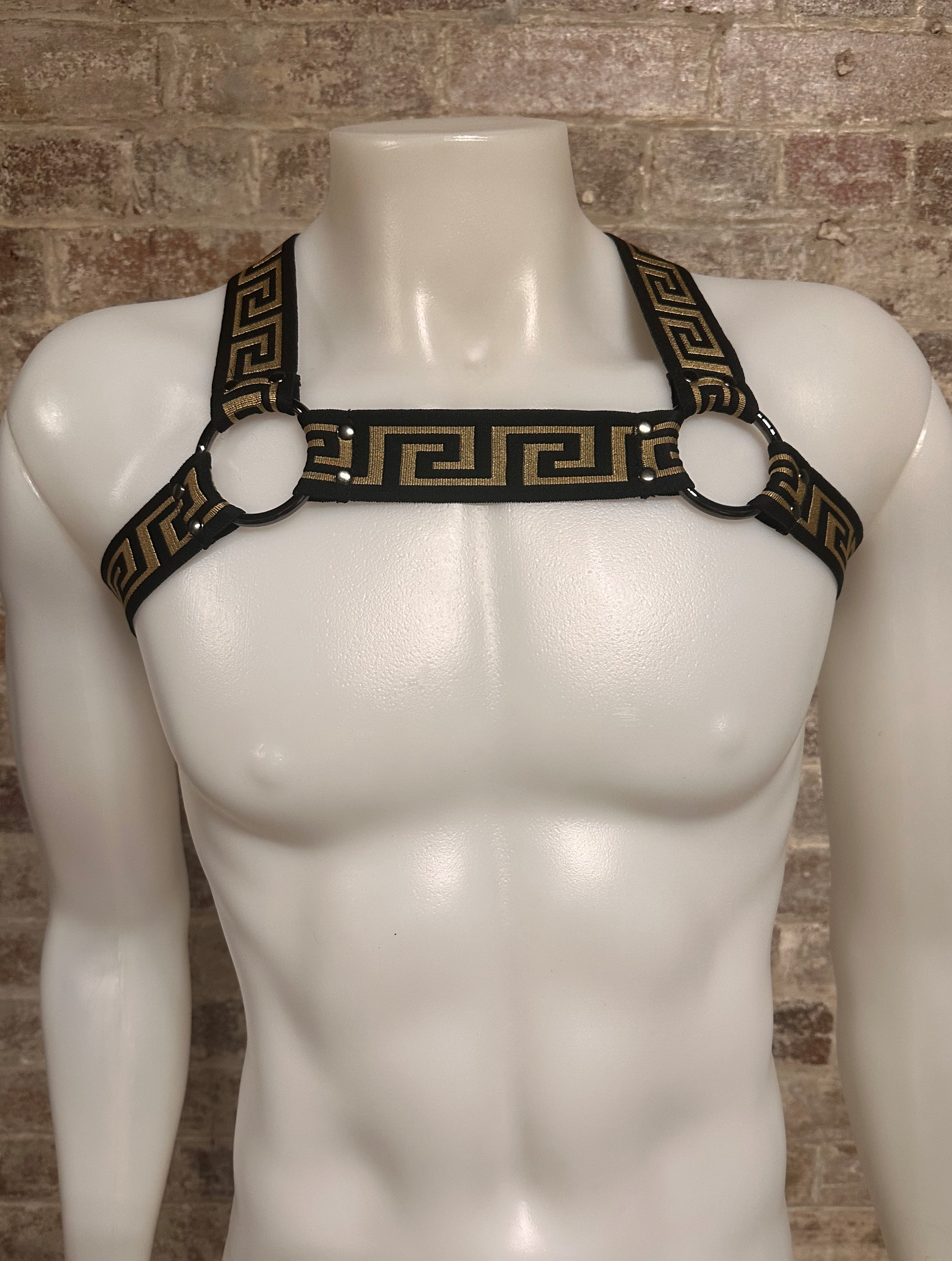 Daly Male Meander Body Harness with Rings