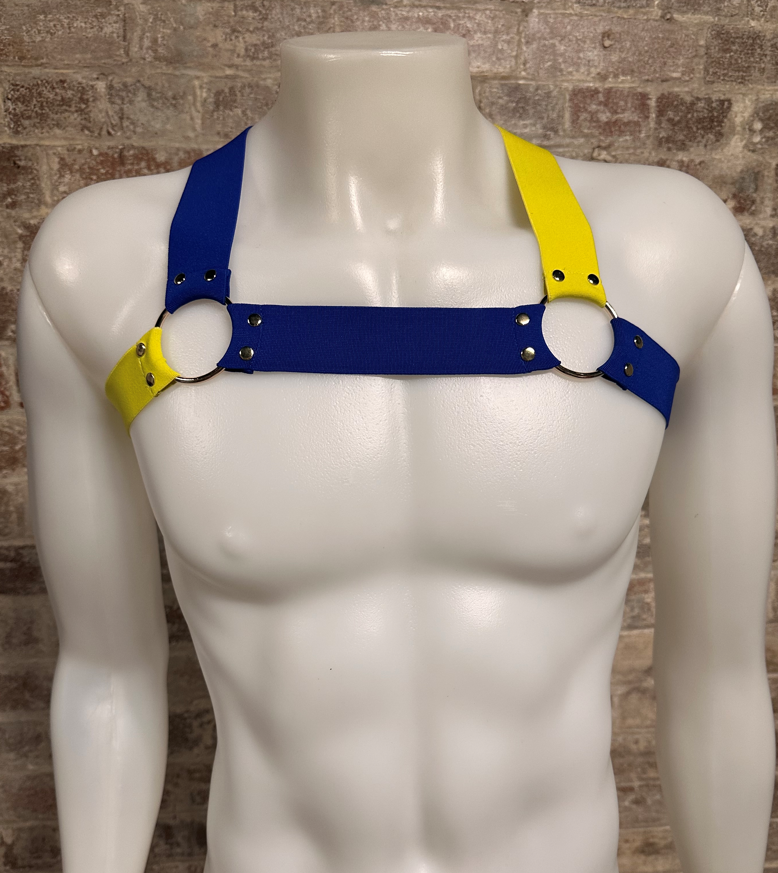Daly Male Body Harness Yellow-Cobalt Blue