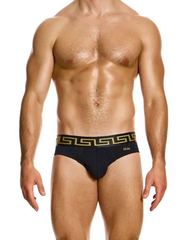 Modus Vivendi Meander Brief