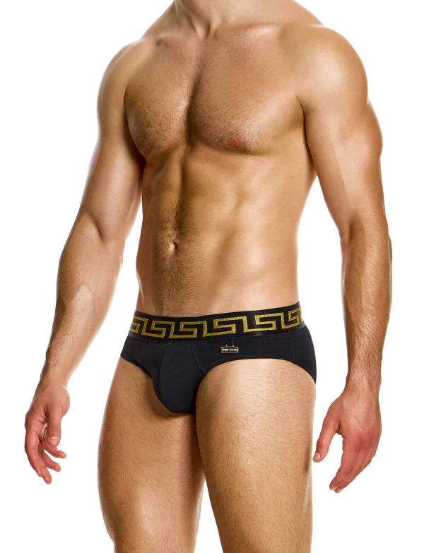 Modus Vivendi Meander Brief