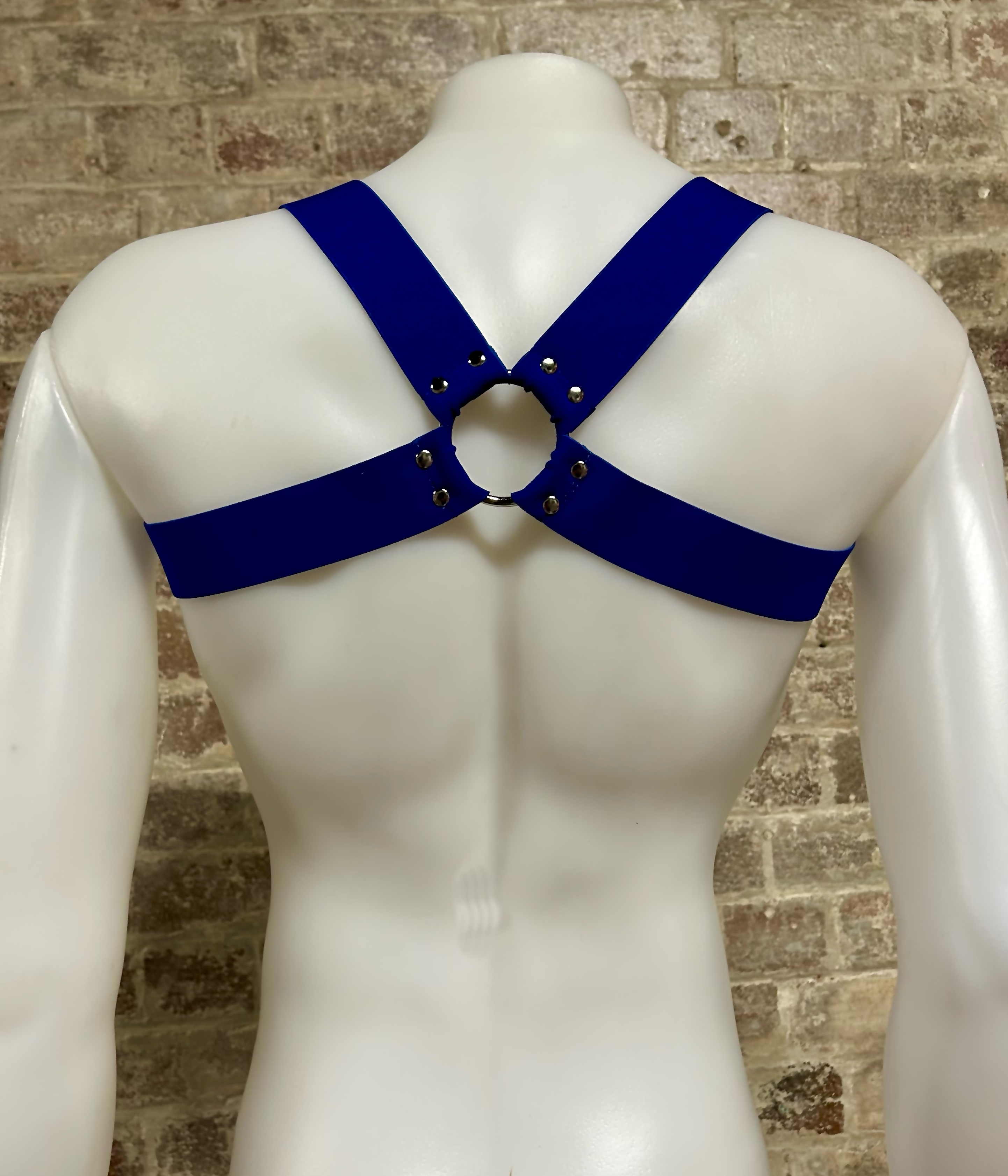 Daly Male Body Harness Blue