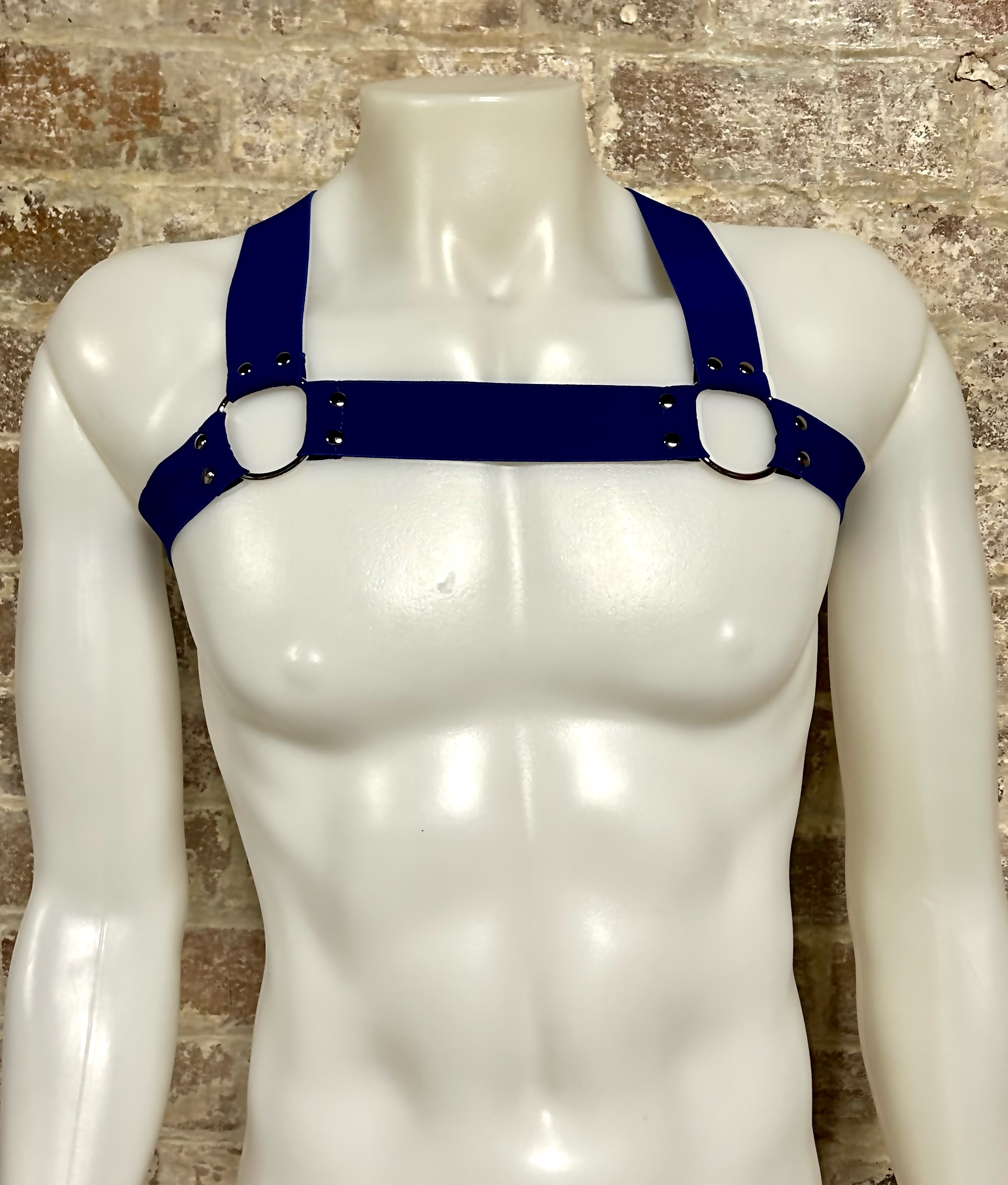 Daly Male Body Harness Blue