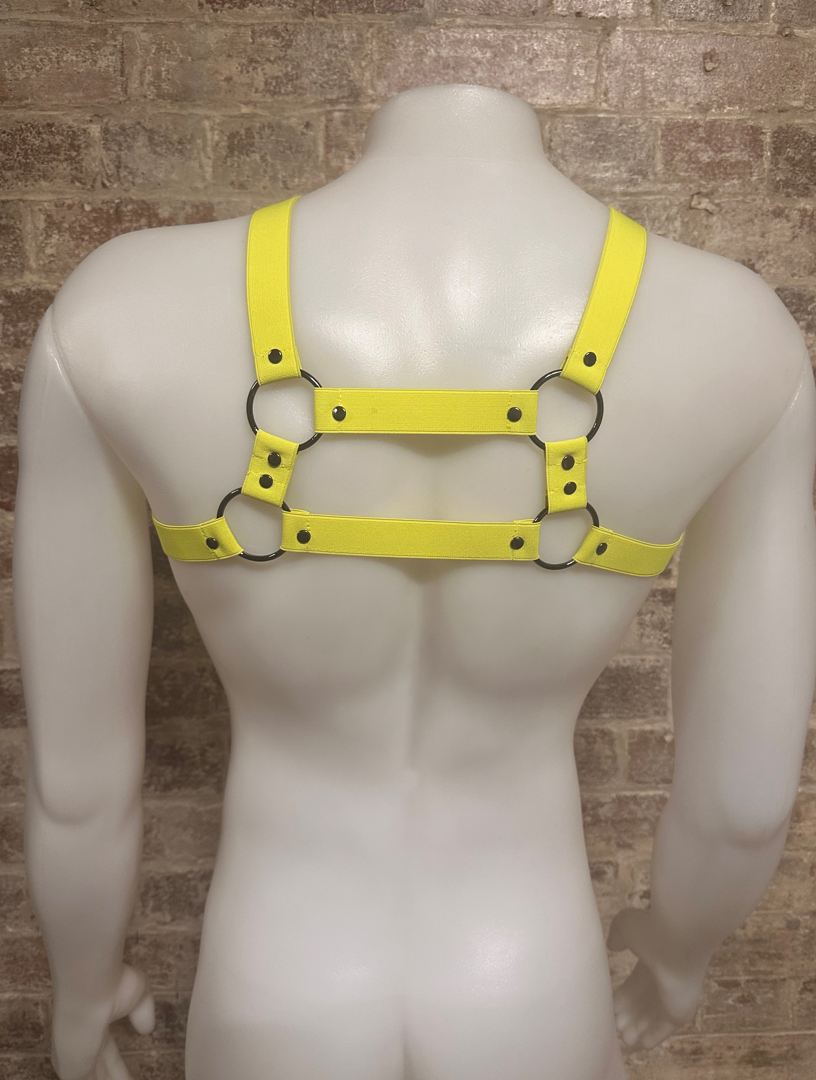 Daly Male Cage Harness with Rings