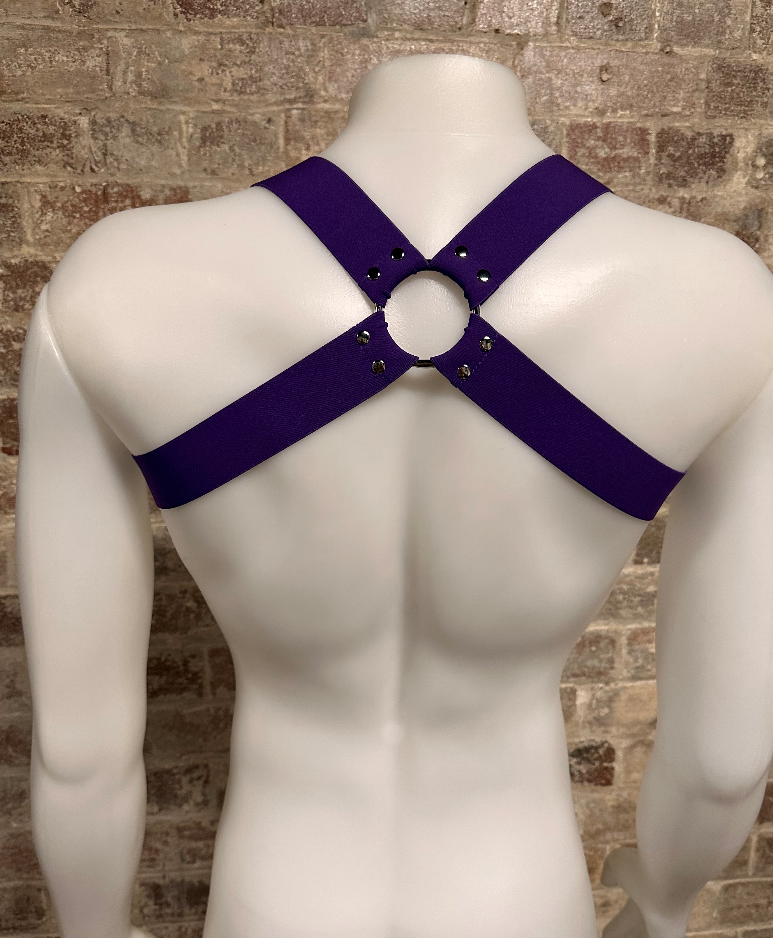 Daly Male Body Harness Purple