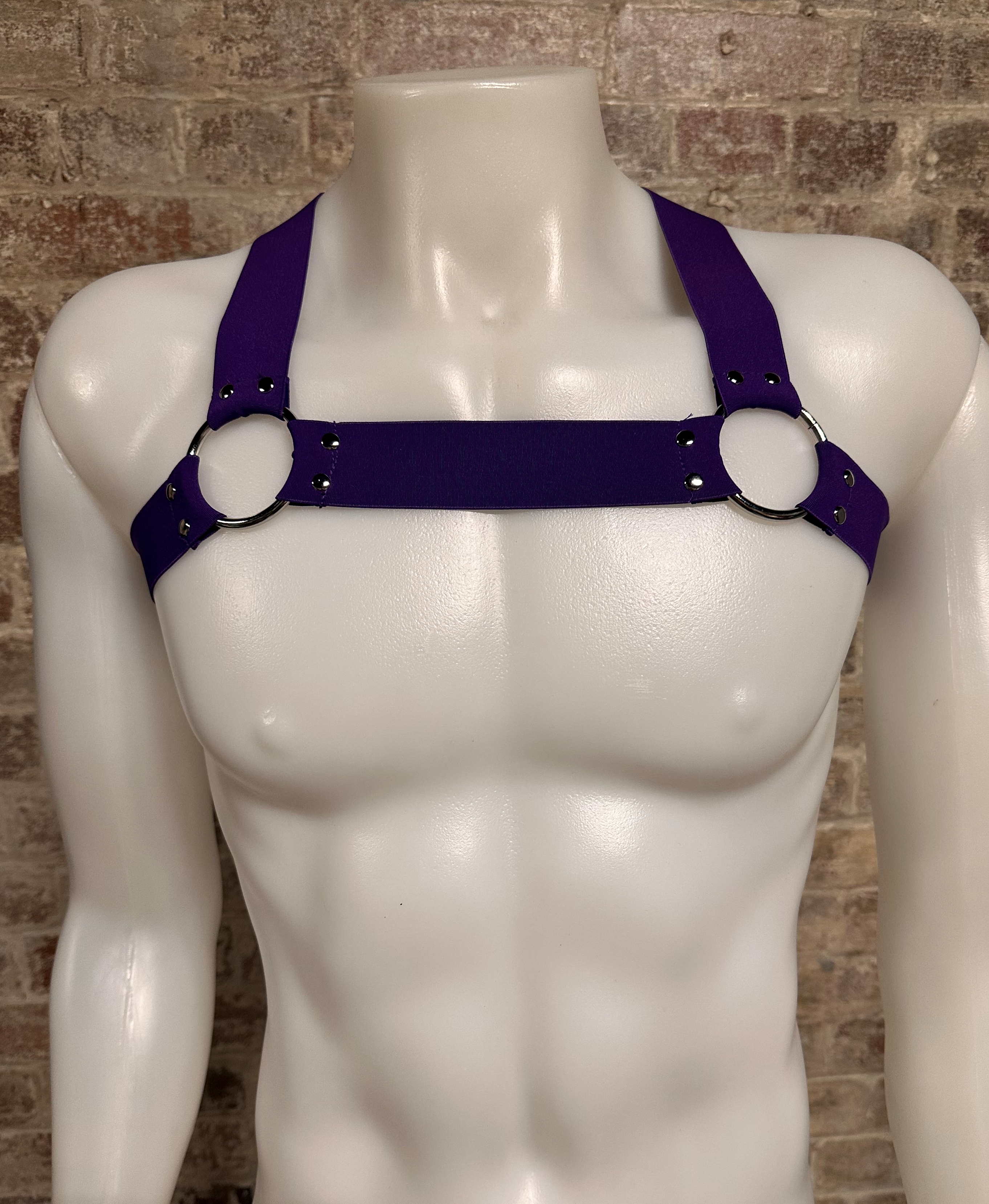 Daly Male Body Harness Purple