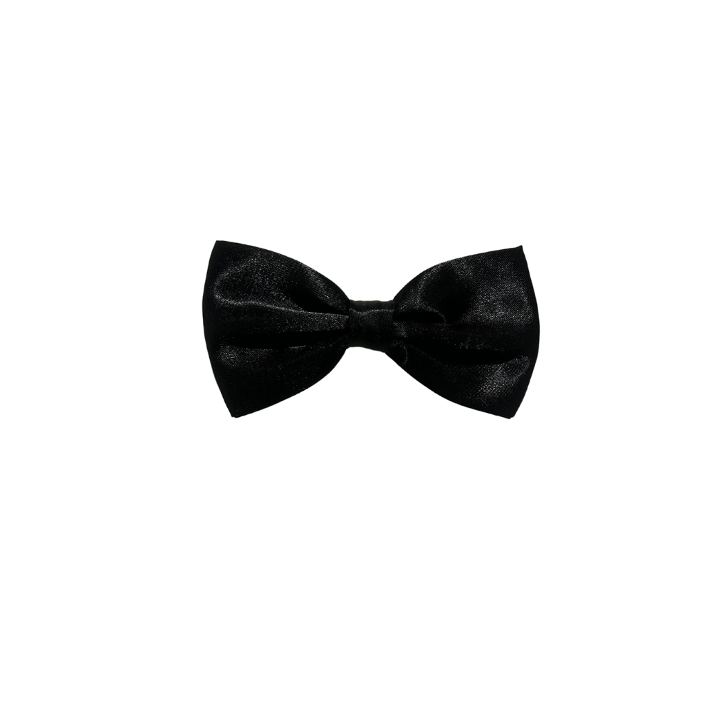 Daly Male Satin Bow Ties