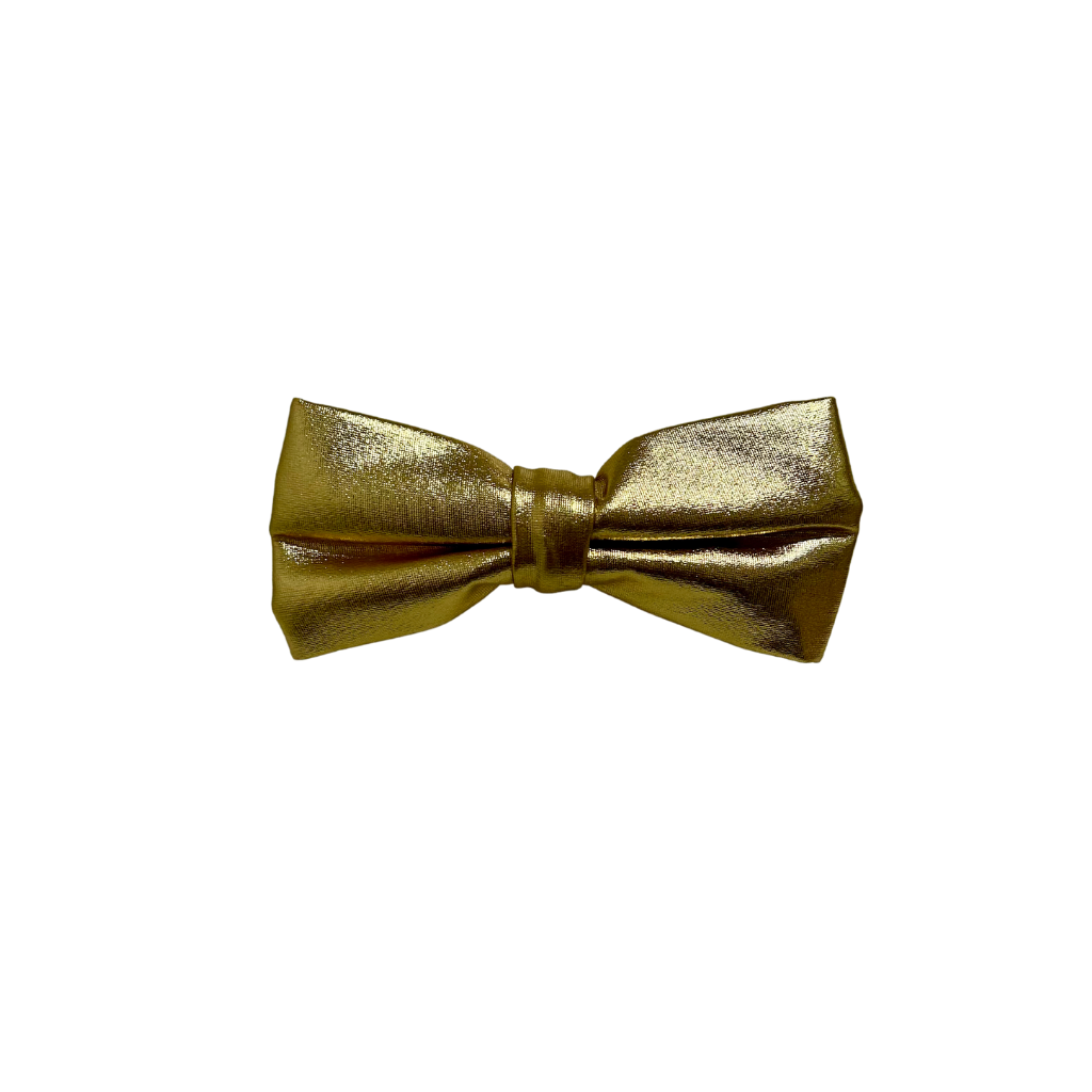 Daly Male Metallic Bow Ties