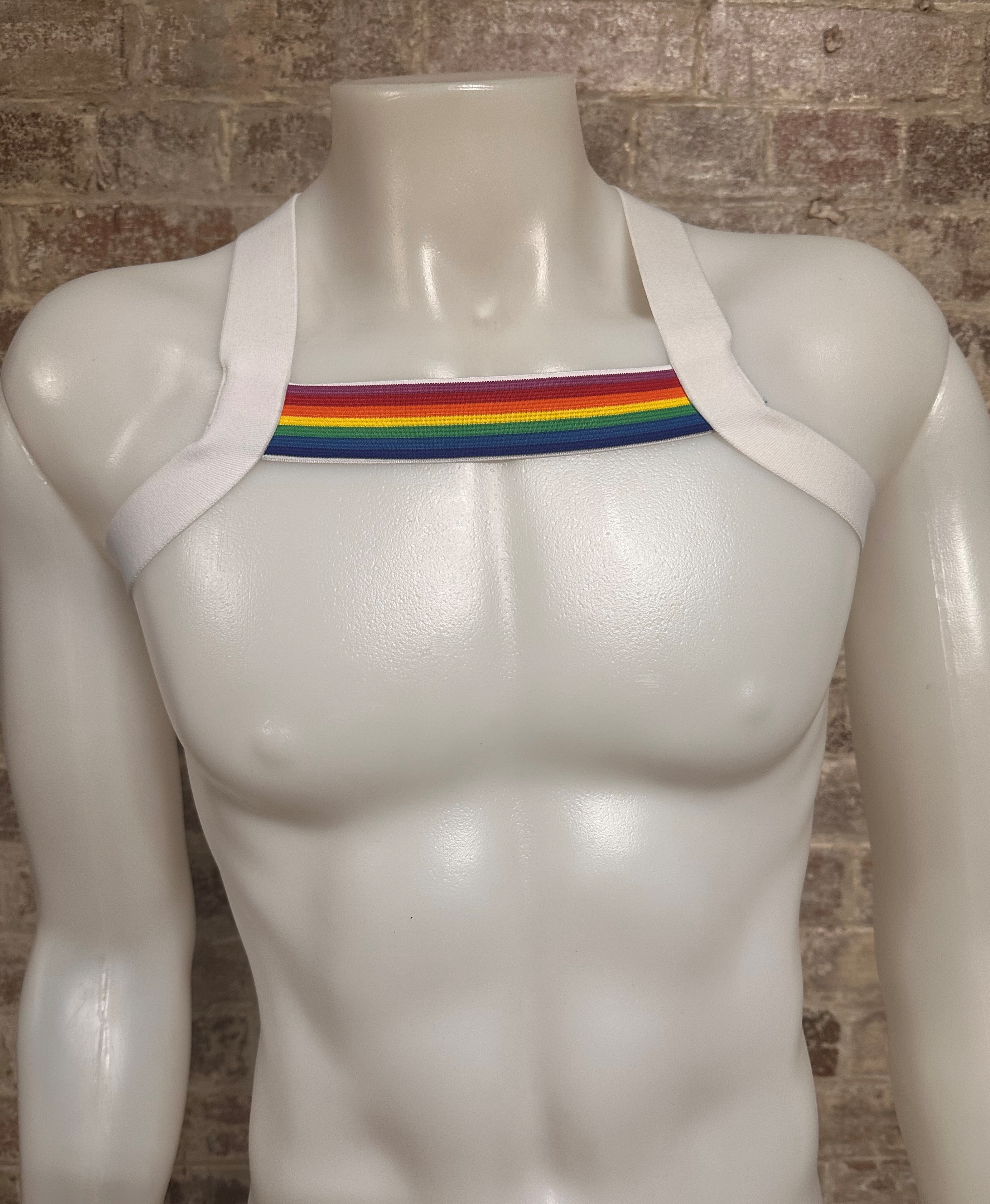 Daly Male Body Harness White-Pride Stripe