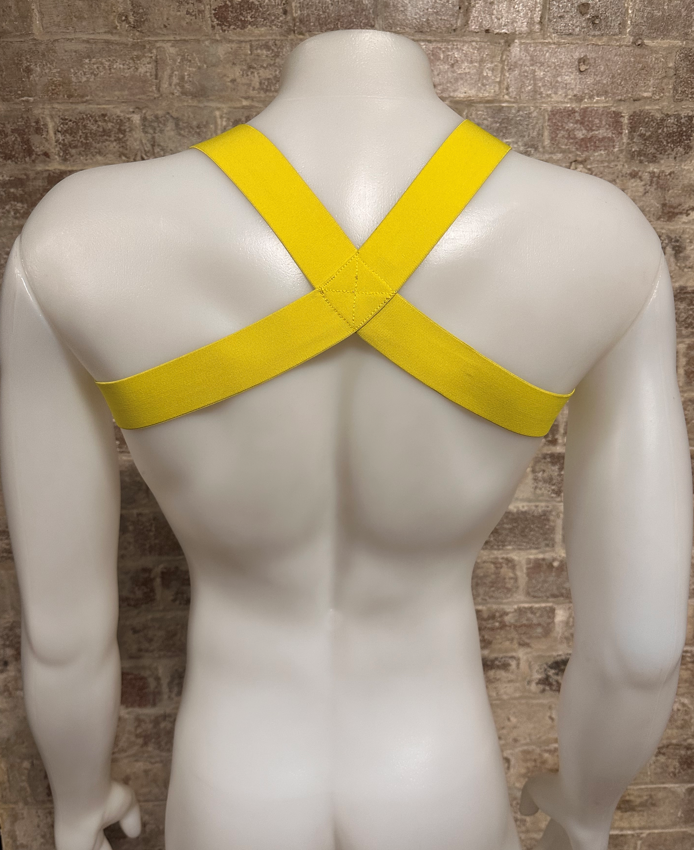 Daly Male Body Harness Yellow