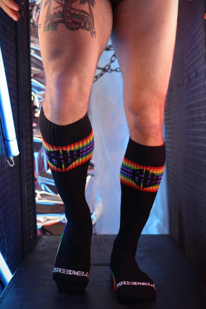 Breedwell Icon Pride Socks